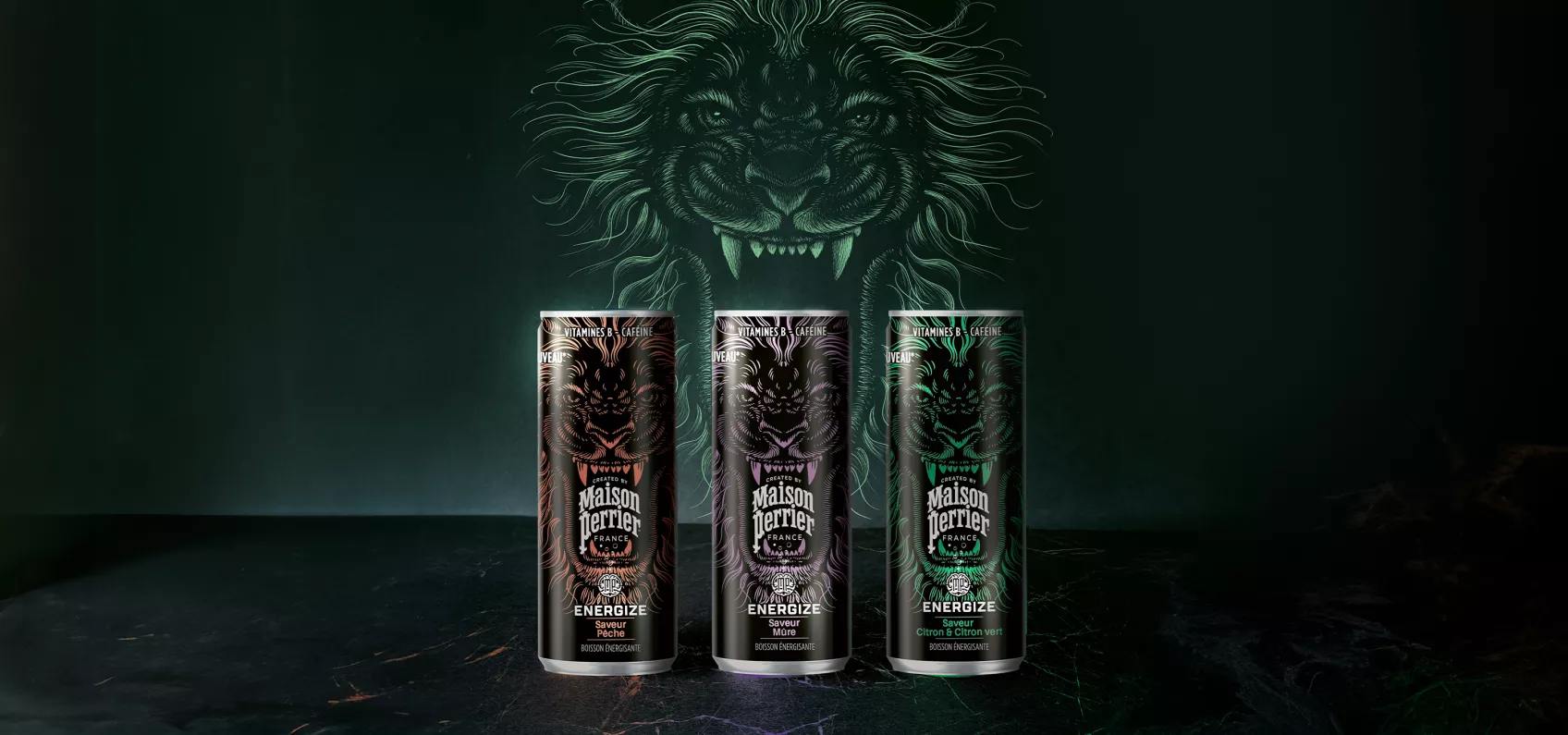 FR_MaisonPerrier_energize