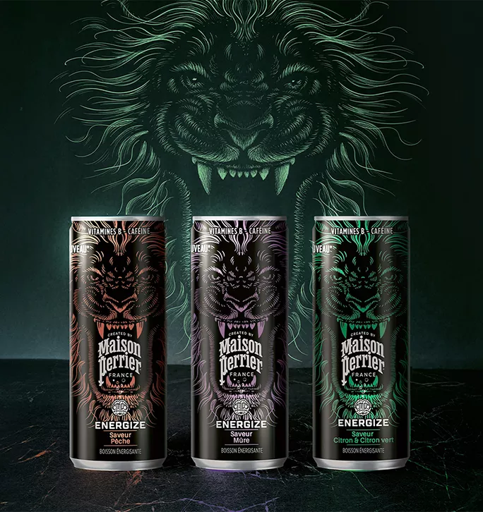 FR_MaisonPerrier_energize