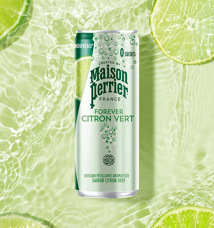 FR_MaisonPerrier_infiniment