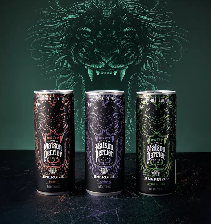 MaisonPerrier_energize
